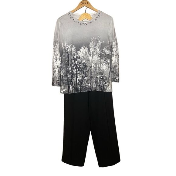 Alfred Dunner Gray Long Sleeve Top Size L & Trouser Pants Size 12 Coords Set - Picture 1 of 12